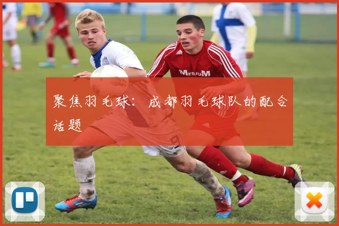 聚焦羽毛球：成都羽毛球队的配合话题