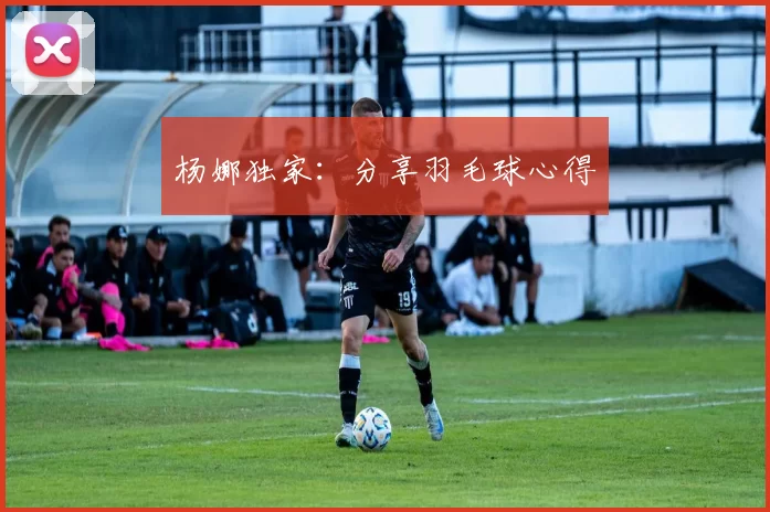 杨娜独家：分享羽毛球心得