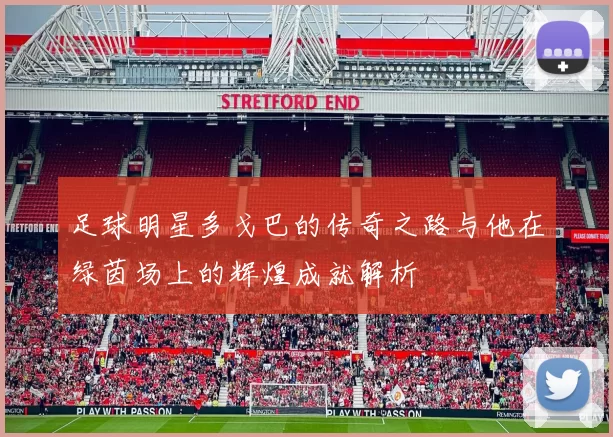 足球明星多戈巴的传奇之路与他在绿茵场上的辉煌成就解析