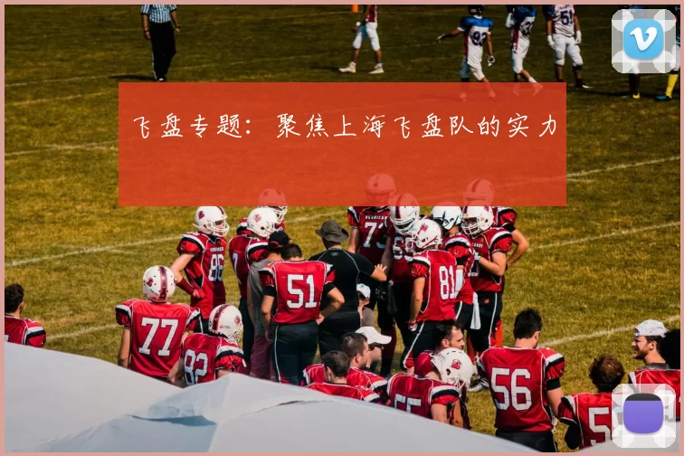 飞盘专题：聚焦上海飞盘队的实力